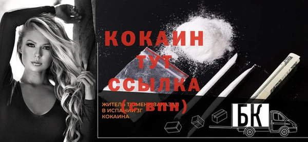 кокс Алексин